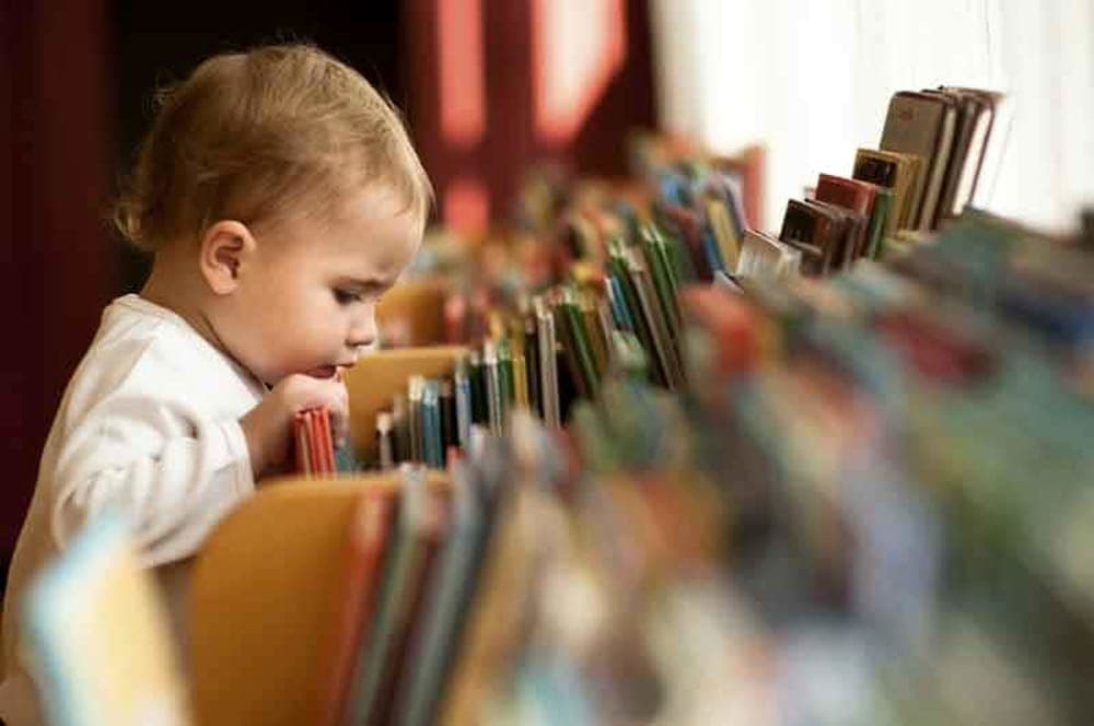 "Letture animate e laboratori ad ottobre": al via il ciclo di appuntamenti gratuiti per i più piccoli