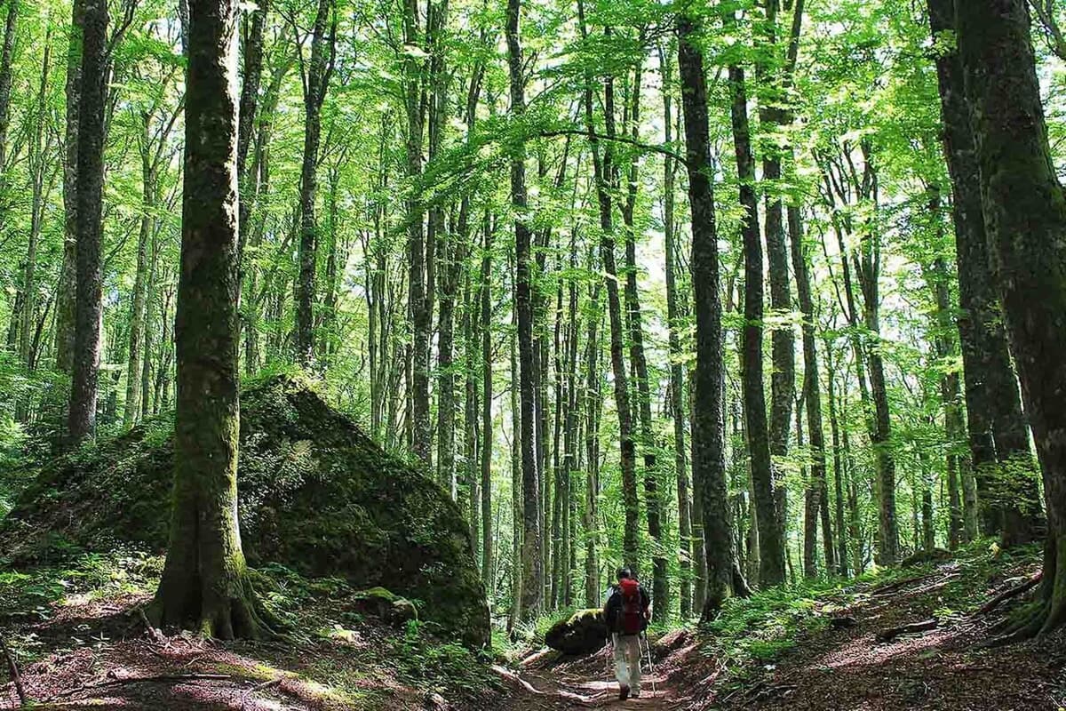 Il docufilm “Il Sentiero delle Foreste Sacre” fa tappa a San Benedetto in Alpe