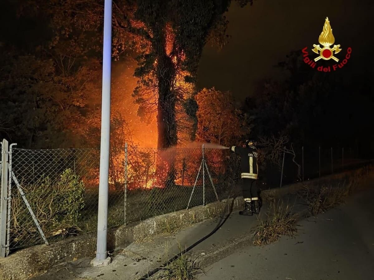 Il bagliore, poi il boato: fulmine colpisce un albero al parco Paul Harris e provoca un incendio. Blackout nel quartiere