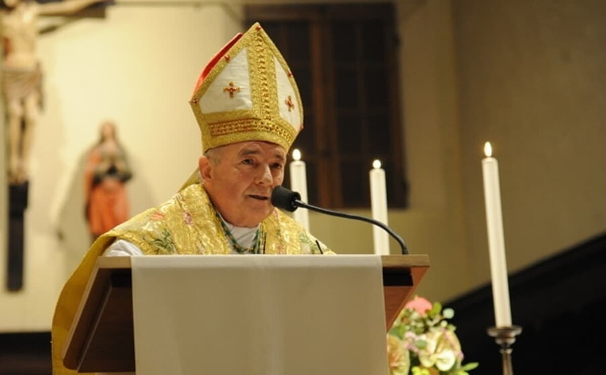 Da Forlì a Piazza San Pietro: 150 cresimandi pronti ad abbracciare Papa Leone