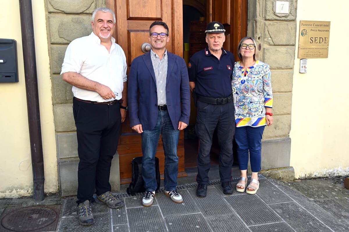 Parco delle Foreste Casentinesi, Francesco Lucacci è il nuovo presidente: "Catalizzare investimenti e opportunità"
