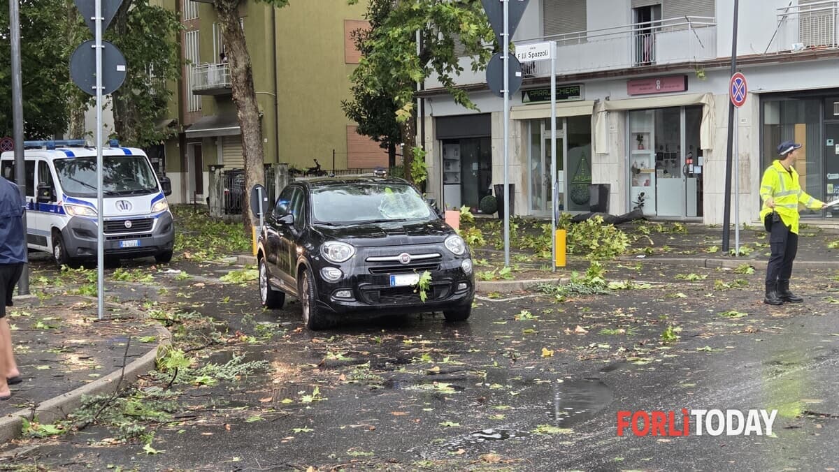 Viale Spazzoli, tronchi colpiscono le vetture in transito: automobilisti incolumi