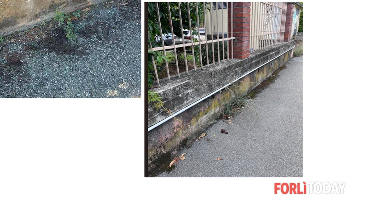 "Via Fanti un "campo minato" di feci"