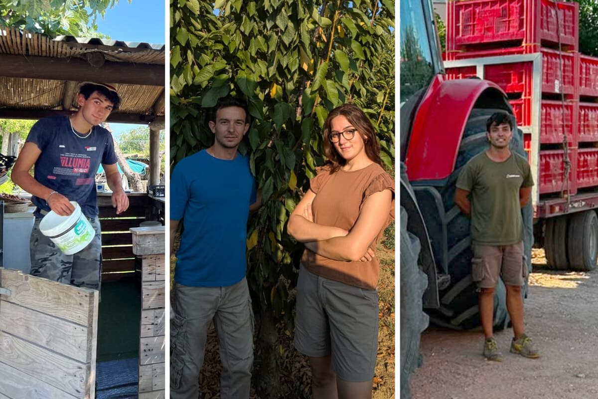Sveglie all'alba, turni da 10 ore e niente weekend: chi sono i giovani romagnoli che scommettono sulla campagna
