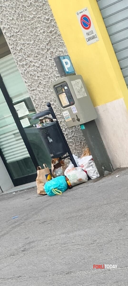 Sacchetti della spazzatura abbandonati in via Bonoli
