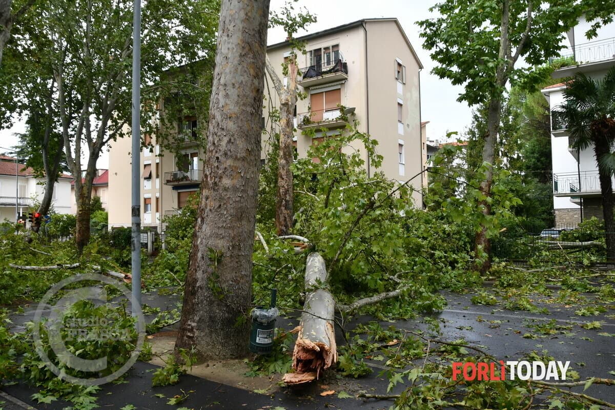 Nessuna tromba d'aria, ma raffiche di vento lineari: anatomia del downburst, cos'è il fenomeno che ha messo in ginocchio Forlì