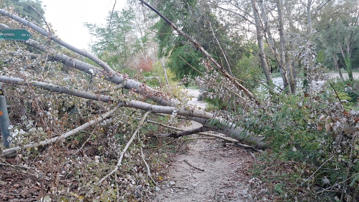 Parco della Resistenza devastato? Acri al Pd: “Guardi anche agli interventi della Regione sul sentiero dell'argine”