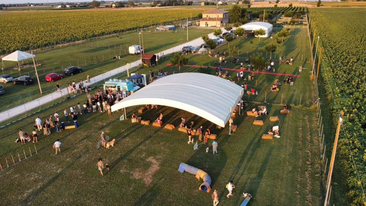 Festa d’Estate al Dog Galaxy: divertimento e solidarietà per gli amici a quattro zampe