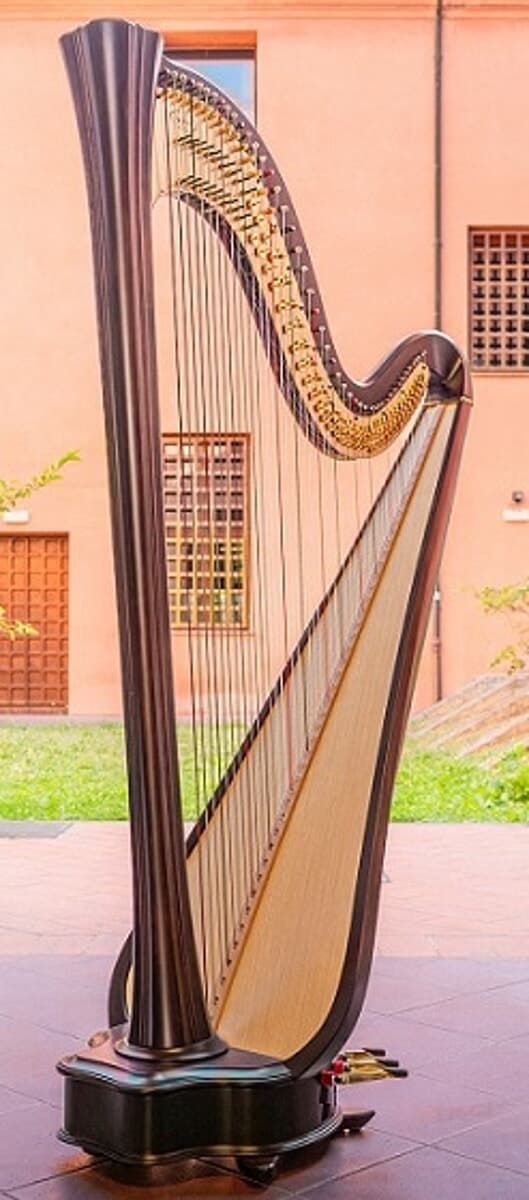 Alla Corte Masini un concerto dedicato all'arpa
