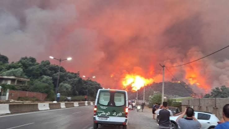 Algeria, incendi forestali catastrofici: almeno 69 vittime e molti feriti