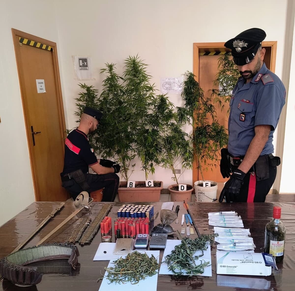 L'arresto del 55enne: non solo marijuana, in casa anche una sciabola, munizioni e pallini in piombo