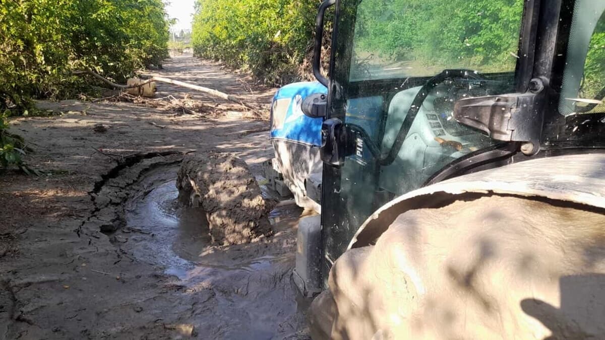 Alluvione 2023, svolta per le aziende agricole escluse: dalla Camera arrivano 20 milioni per i ristori